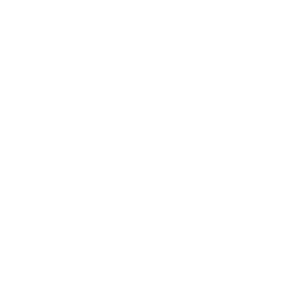 icon stretching